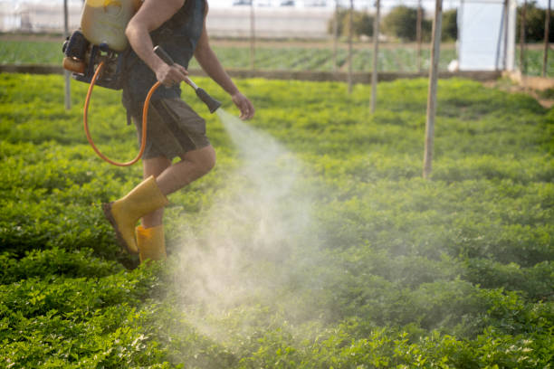 Best Pest Prevention Services  in The Woodlands, TX