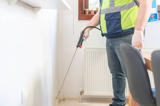 Best Termite Control Services  in The Woodlands, TX